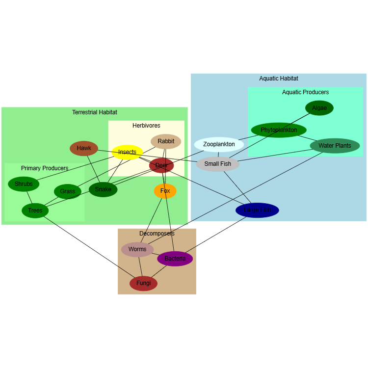 Ecosystem Food Web