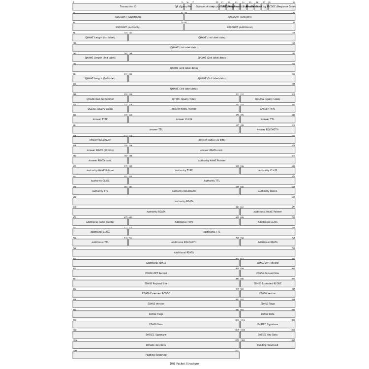 DNS Packet