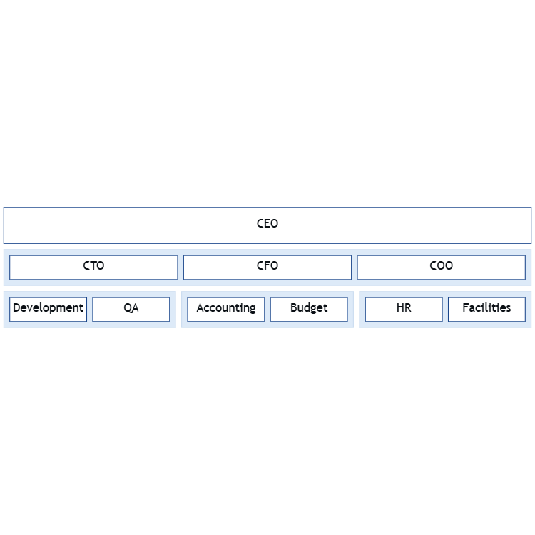 Organization Structure