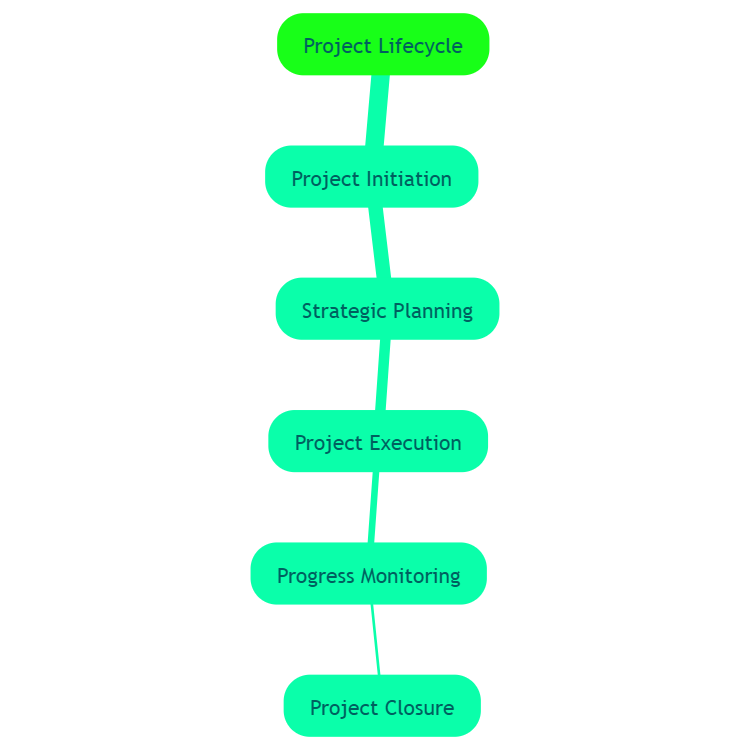 Project Lifecycle