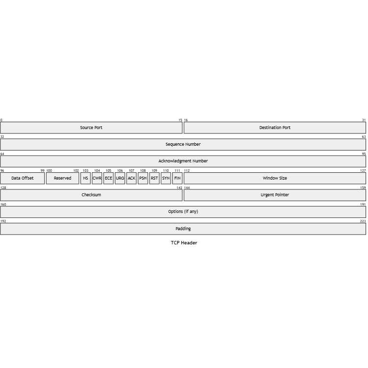 TCP Packet